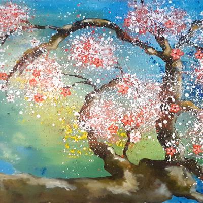 Cerisier fleuri du printemps - Fleurs - Arbre
- 80x60cm - 520 Euros